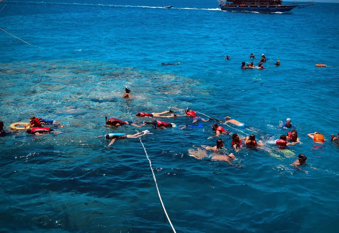 Swimmers drifting over shallow coral in the Gulf of Aqaba.