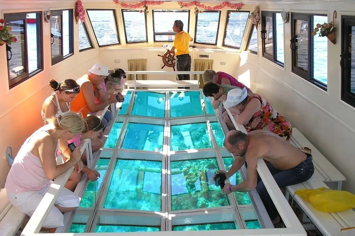 Guests looking down through the glass floor panels of the boat at the reef below