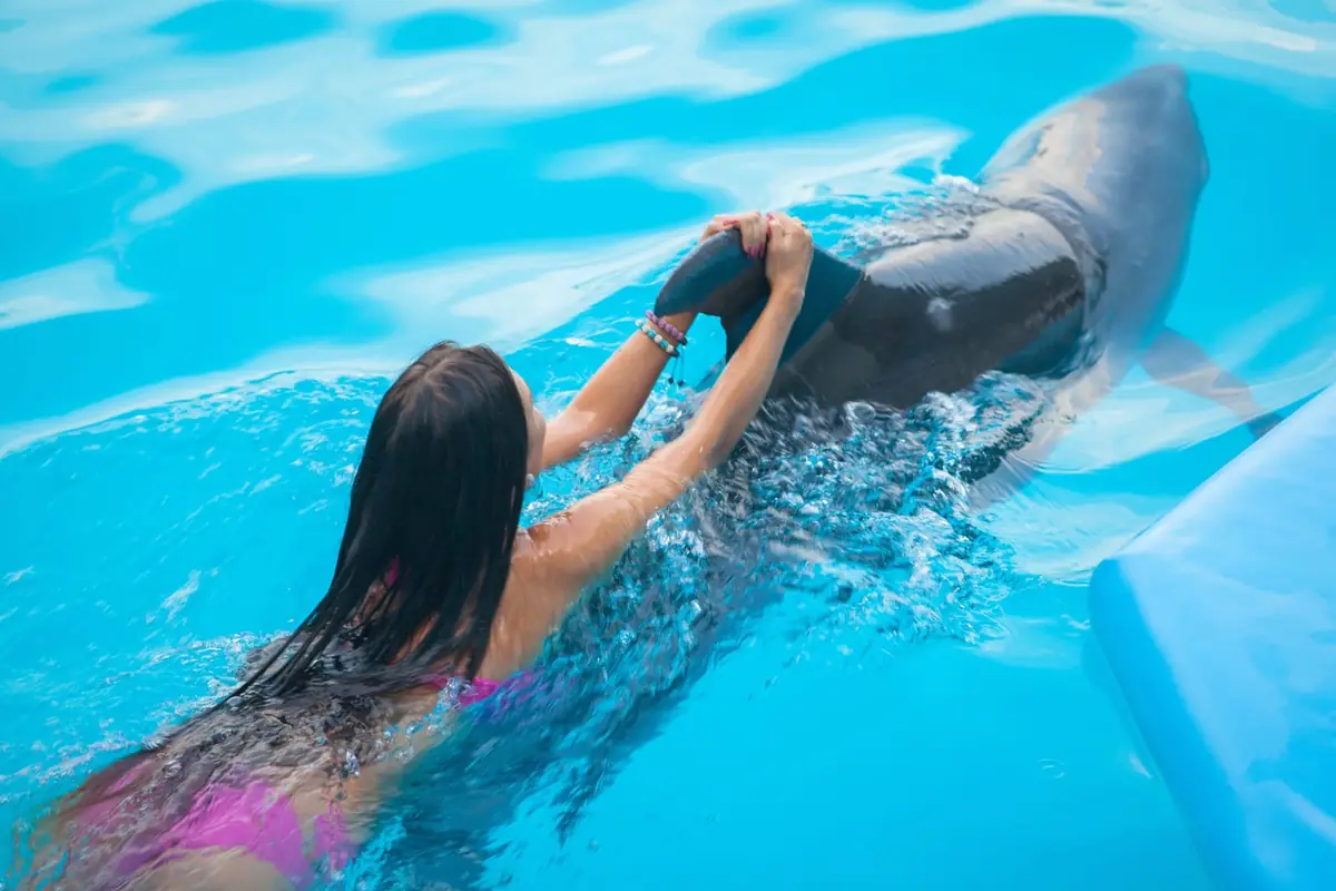A swimmer holding on to a dolphin's fin in a turquoise pool