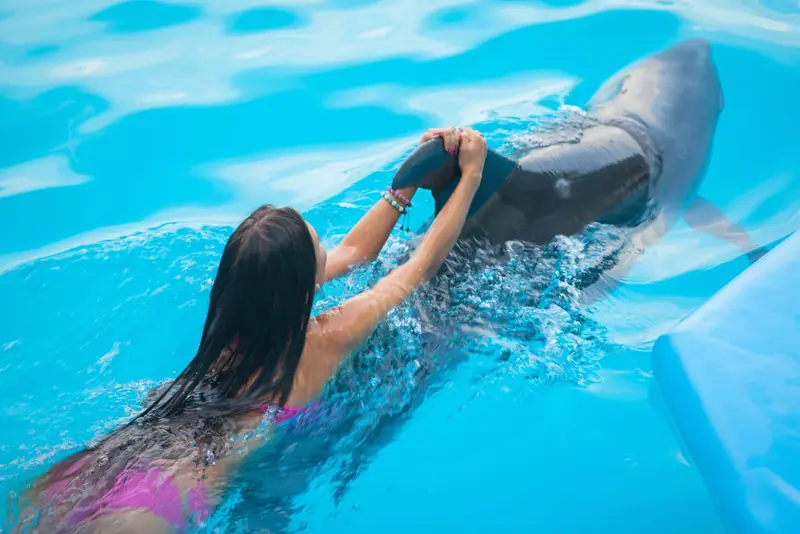 A swimmer holding on to a dolphin's fin in a turquoise pool