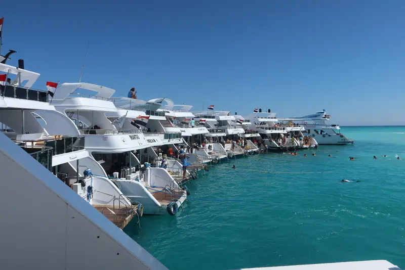 A row of white day boats moored at the reef, with snorkellers in the turquoise water