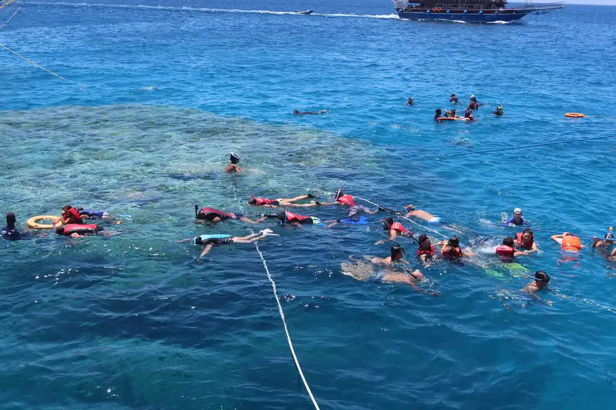 Snorkellers in red vests holding a line over the coral