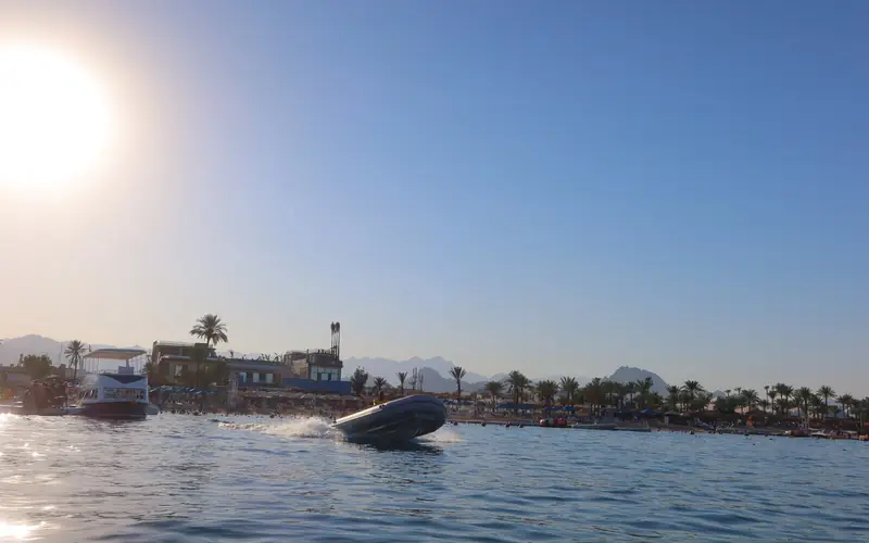 A small speedboat on calm water, with the beach and palm trees behind in low sun