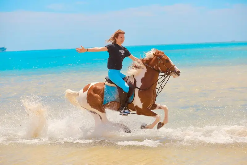 Una persona al galoppo su un cavallo pezzato nell'acqua bassa