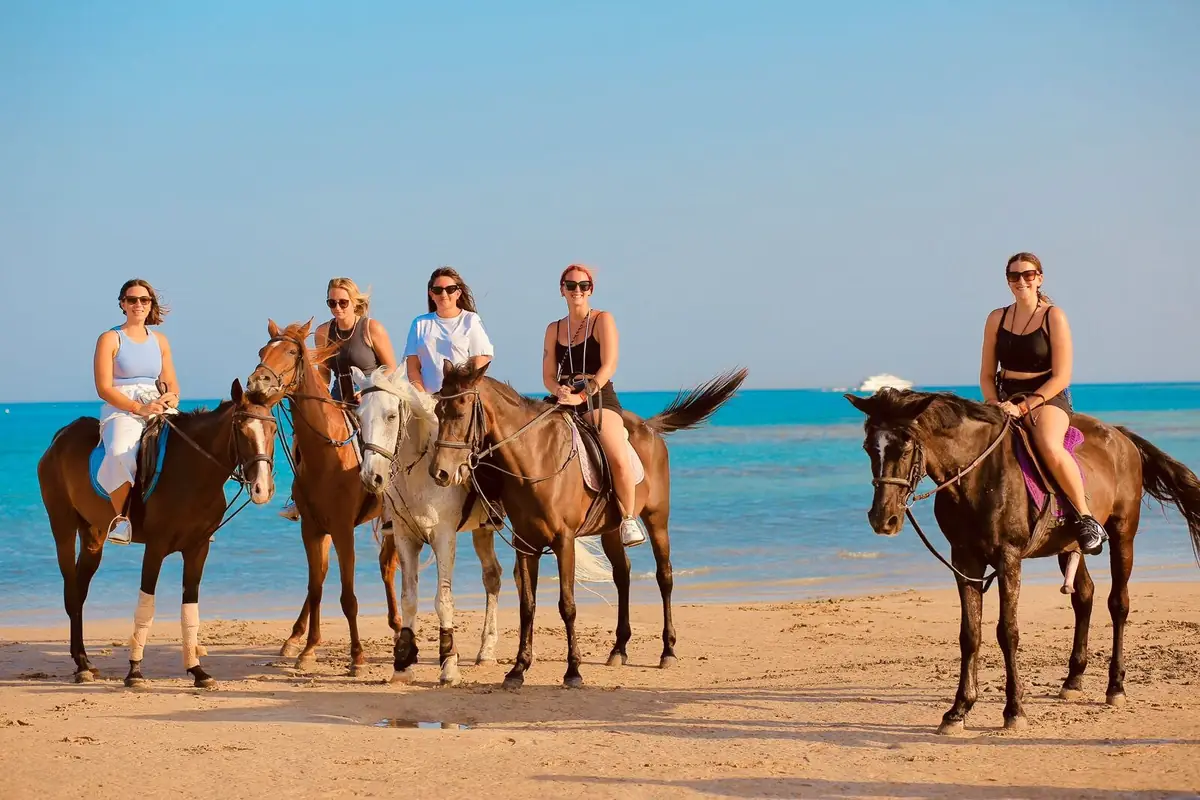 A group of riders on horseback on the beach